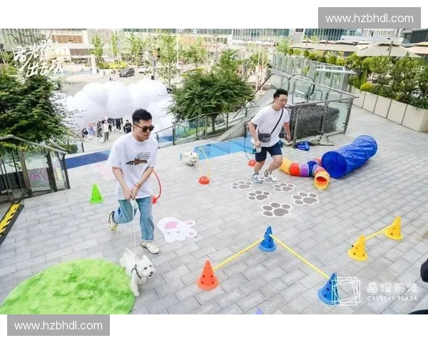 赛事餐饮供应商如何提升赛事体验并满足多样化需求