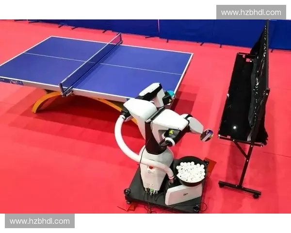 推动体育产业发展与改革 促进体育职业化进程与社会效益提升